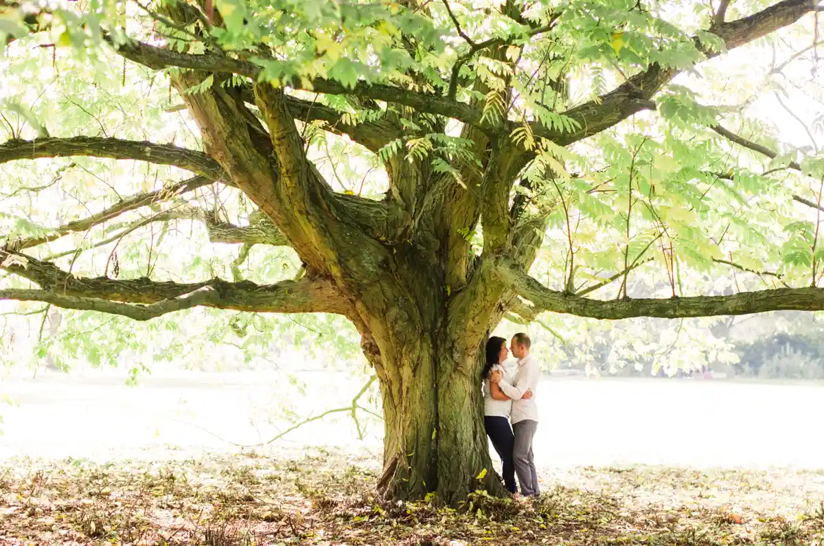 karine labuz photographe mariage roubaix a et s-3